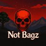 Profilbild von NotBagzTTV