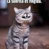Ramiro's profile picture