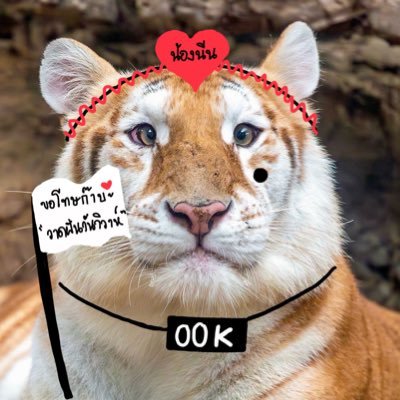 สู้ชีวิต (ชอนอ-การันต์) 🍮🌶️'s profile picture