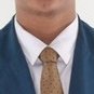 Profilbild von Pulici