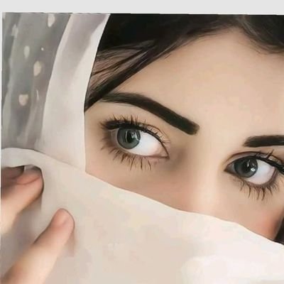 Nour 🕊️'s profile picture