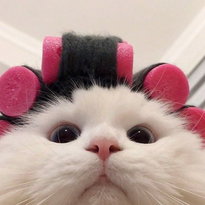 kitty_babyn's profile picture