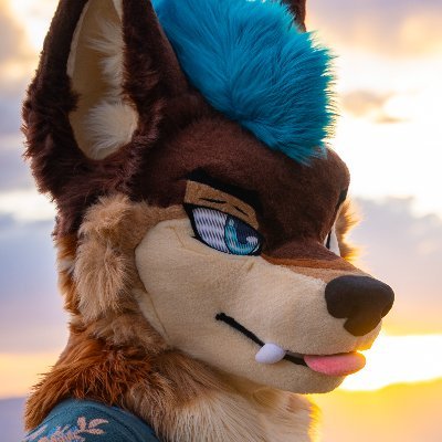 AlpineAskee 🔜 Megaplex's profile picture