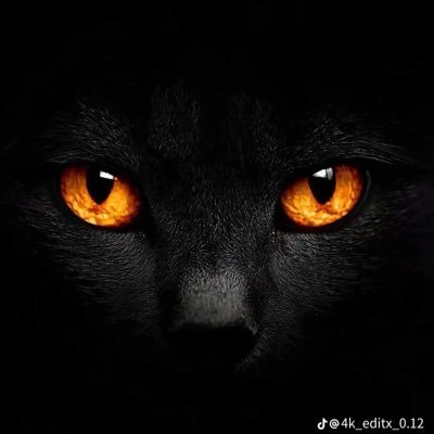 thyhiro's profile picture