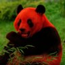 ZccSfn profil fotoğrafı