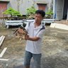 Diêu profil fotoğrafı