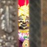 Фото профиля Anmol