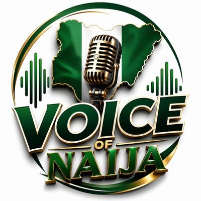 VOICE_OF_NAIJA1's profile picture
