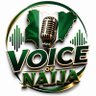 ✊🏿VOICE OF NAIJA✊🏿's profile picture