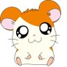 阿奈木 数人 a.k.a チョッパリハム太郎🐹 profil fotoğrafı