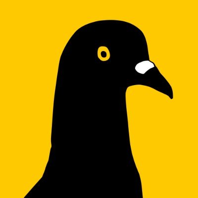 The City Reporter's profile picture
