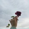 Фото профиля Nouf✨