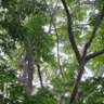 Фото профиля หมาน้อยตัวใหญ่