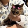 rikaispretty's profile picture