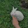 vincenzo77 profil fotoğrafı