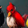 Birds's profile picture
