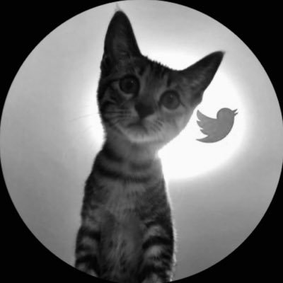 Nowarrgkx's profile picture