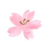 ããã's profile picture