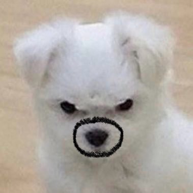 춘삼's profile picture