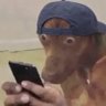 David Hubleo's profile picture