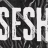 315SESHSHOW's profile picture