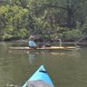 Kayaking John 的头像