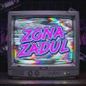 Zona Zadul's profile picture