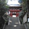 のぶなが 的头像
