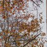 Фото профиля positive energy of the day