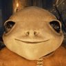 Profilbild von runemachinr