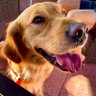 Profilbild von Jesse