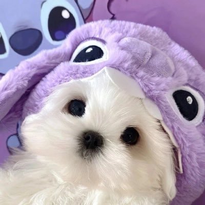 Bestlove8888's profile picture