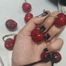 Reiki 的头像