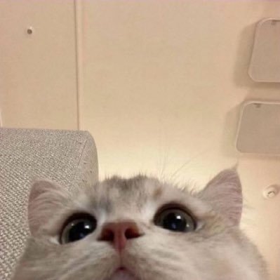 graz's profile picture