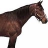 Juan's profile picture