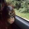 cleo profil fotoğrafı