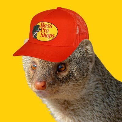 lefts's profile picture