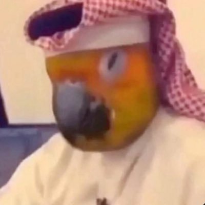 95's profile picture