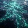 The Kaspian Sea 的头像