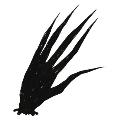 Dot's profile picture