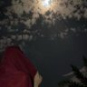 Loli's profile picture