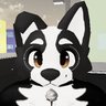 Profilbild von Canibilims
