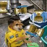 in SPIRIT mode's profile picture