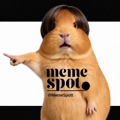 Meme Spot's profile picture