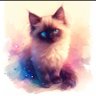 abi profil fotoğrafı