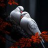 Фото профиля साजन
