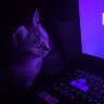 alva profil fotoğrafı