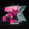 Фото профиля Roach⁷ᵏ