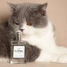 Kucing Spicy ๐ฑ๐ถ's profile picture