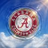 mary t 🐘🥋🏈 🅰️ 🇺🇸's profile picture